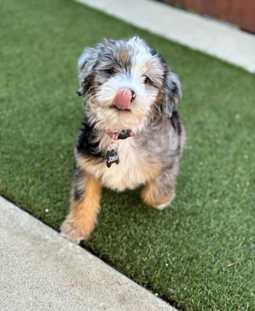 photo 10 2025 12 09 06 07 22