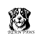 photo 2025 12 03 copy