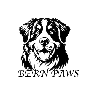 photo 2025 12 03 copy