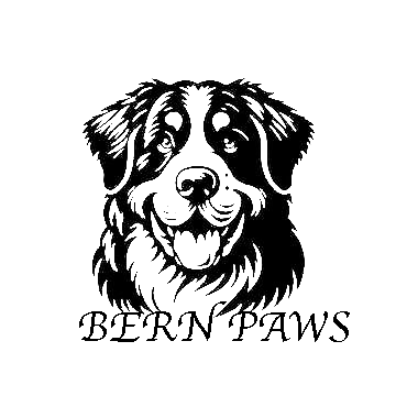 photo 2025 12 03 copy