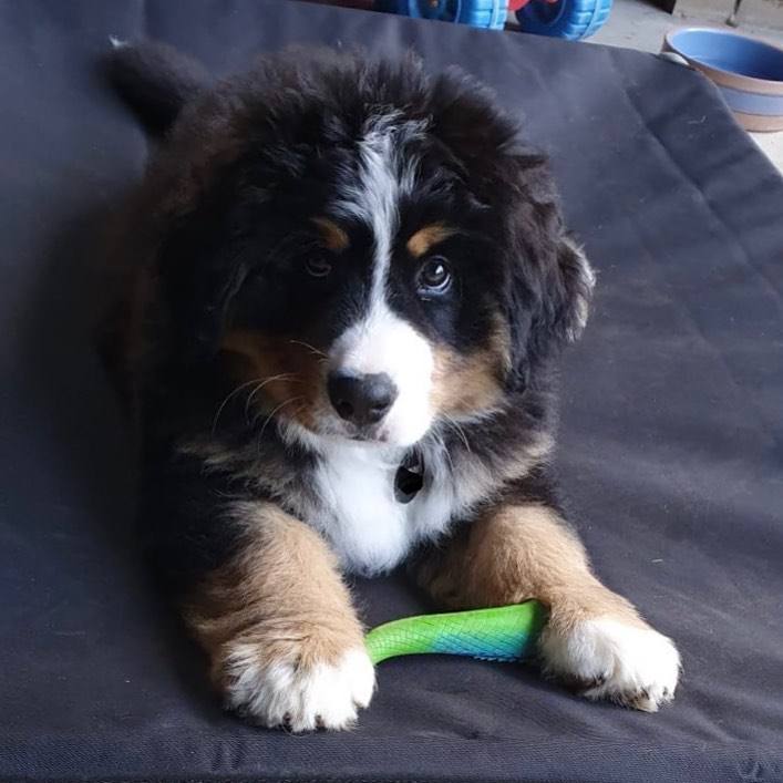 photo 2025 12 09 06 32 06