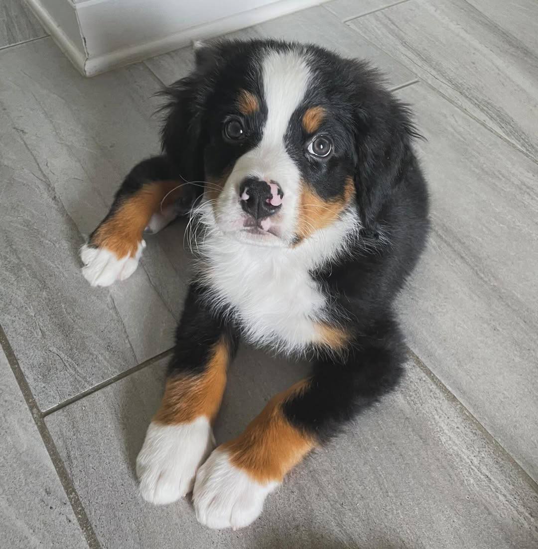 Home photo 2 2025 12 09 06 07 22