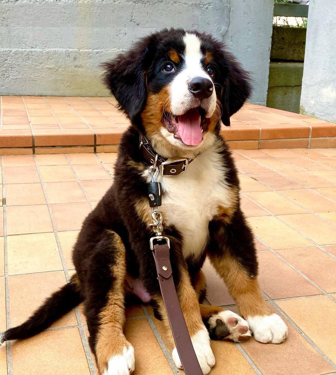 photo 3 2025 12 09 06 07 22