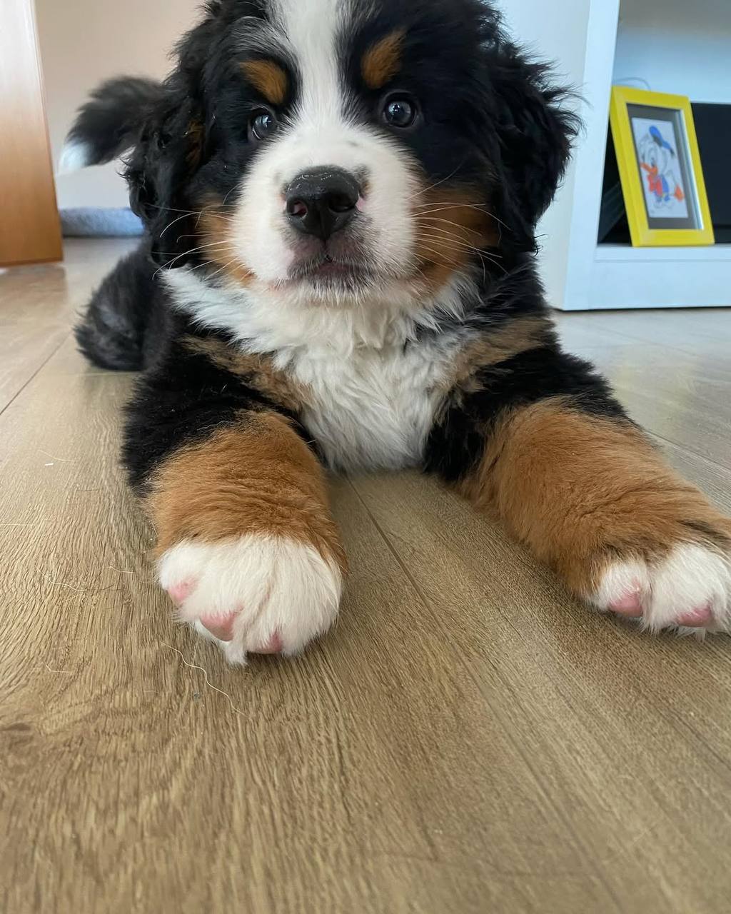 photo 4 2025 12 09 06 07 22