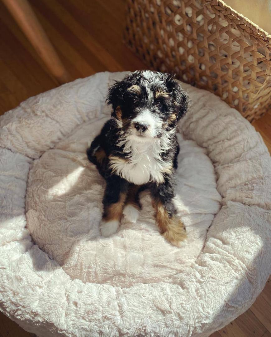 Home photo 5 2025 12 09 06 07 22