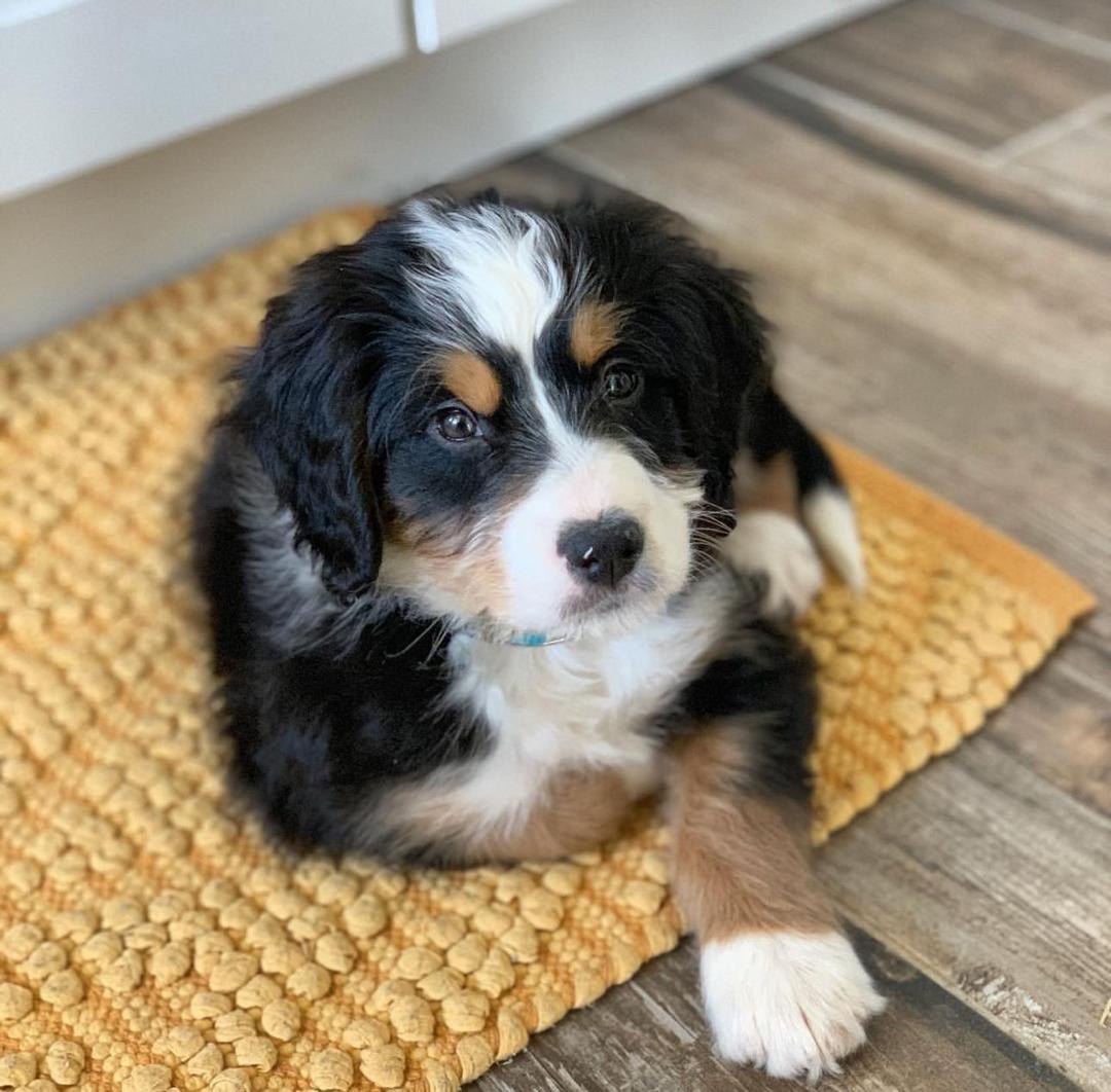 Home photo 6 2025 12 09 06 07 22