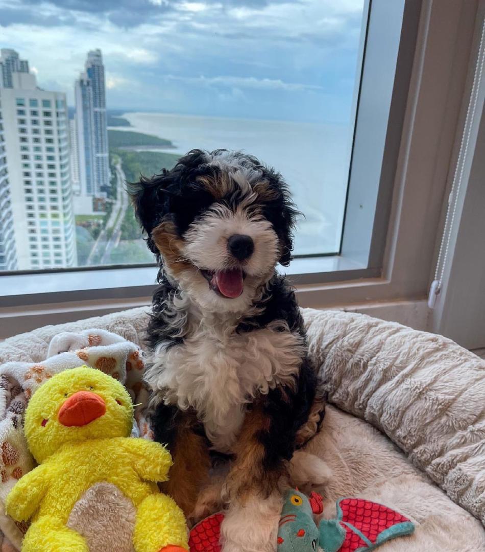 Home photo 8 2025 12 09 06 07 22