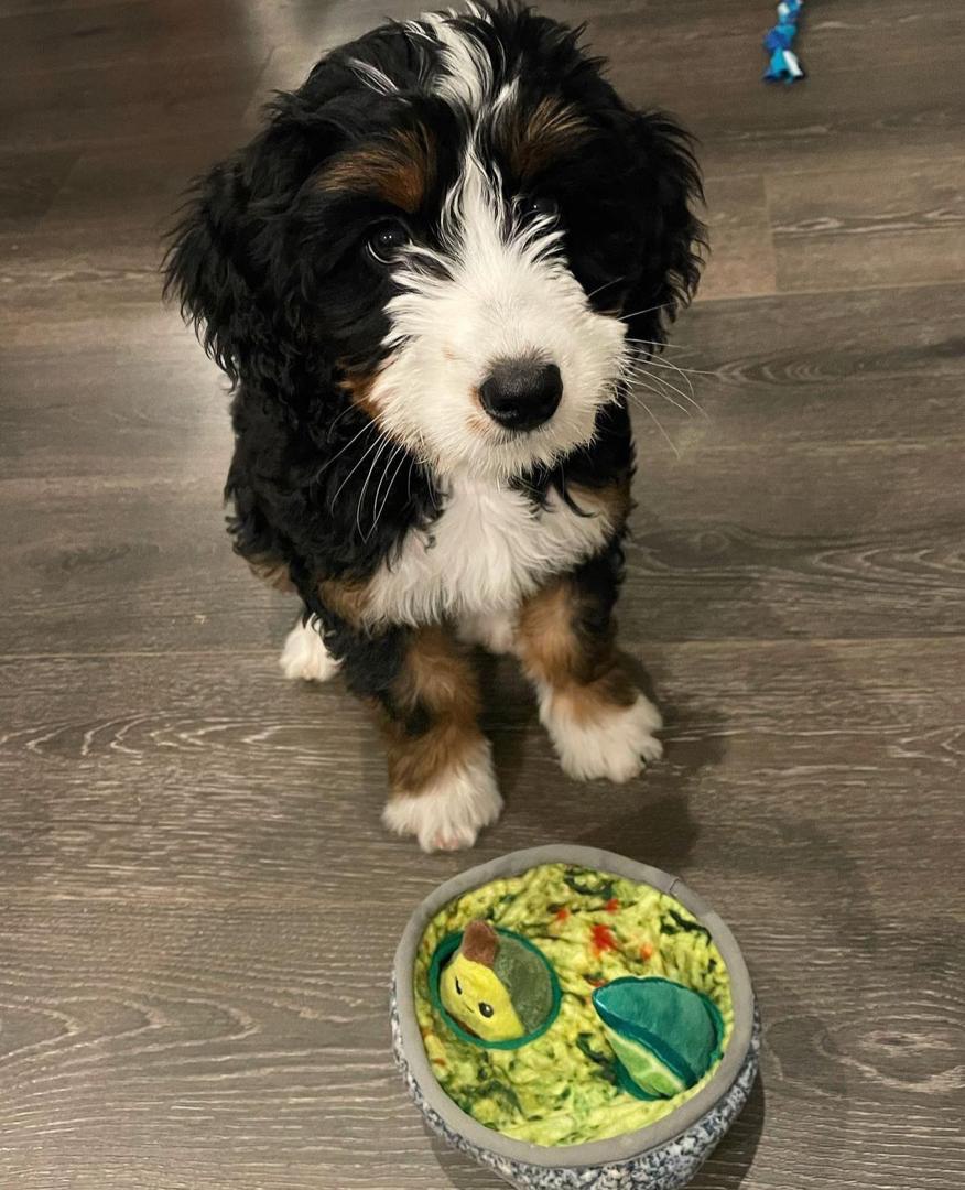 photo 9 2025 12 09 06 07 22